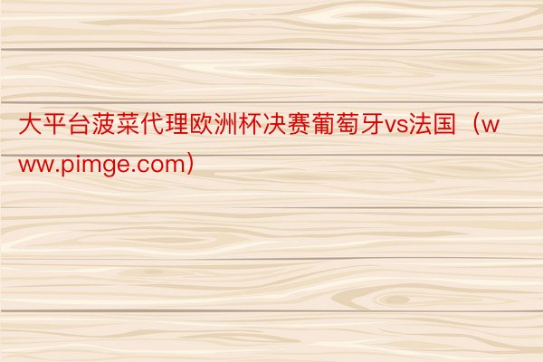 大平台菠菜代理欧洲杯决赛葡萄牙vs法国(www.pimge.com)