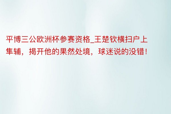 平博三公欧洲杯参赛资格_王楚钦横扫户上隼辅，揭开他的果然处境，球迷说的没错！