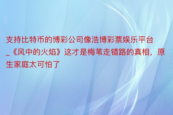 支持比特币的博彩公司像浩博彩票娱乐平台_《风中的火焰》这才是梅苇走错路的真相,原生家庭太可怕了